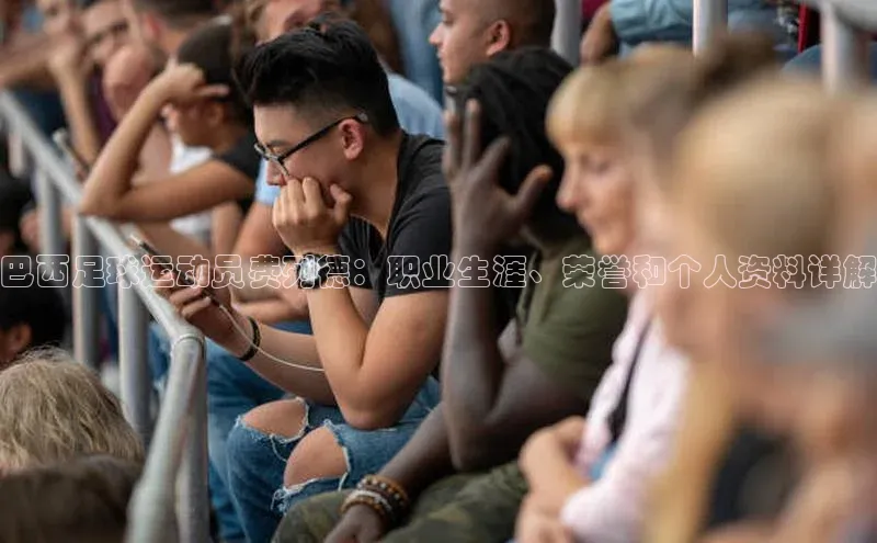 星空官网登录入口百度网盘企业版巴西足球运动员费列德：职业生涯、荣誉和个人资料详解