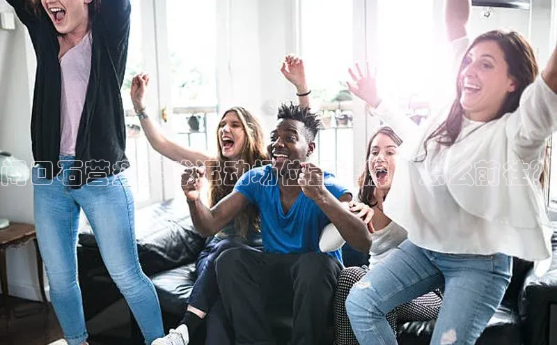 星空·体育综合APP下载官网滴滴出行闸口石营盘足球运动场位置详解，怎么前往？