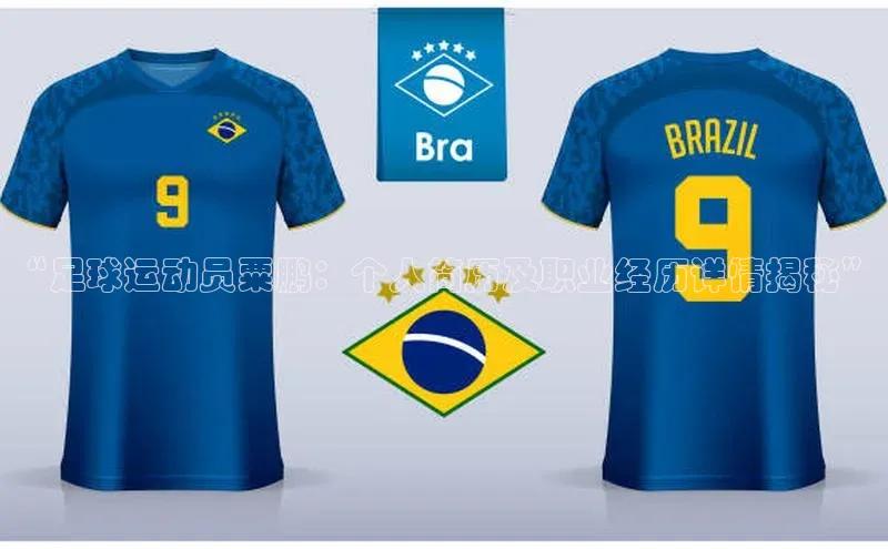 星空手机网页版登录入口壹网壹创“足球运动员粟鹏：个人简历及职业经历详情揭秘”