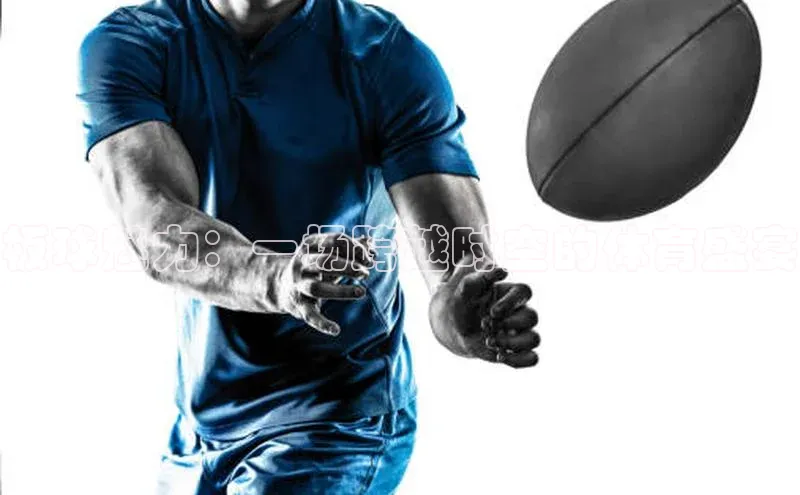 星空体育在线网页版百度翻译App板球魅力：一场跨越时空的体育盛宴