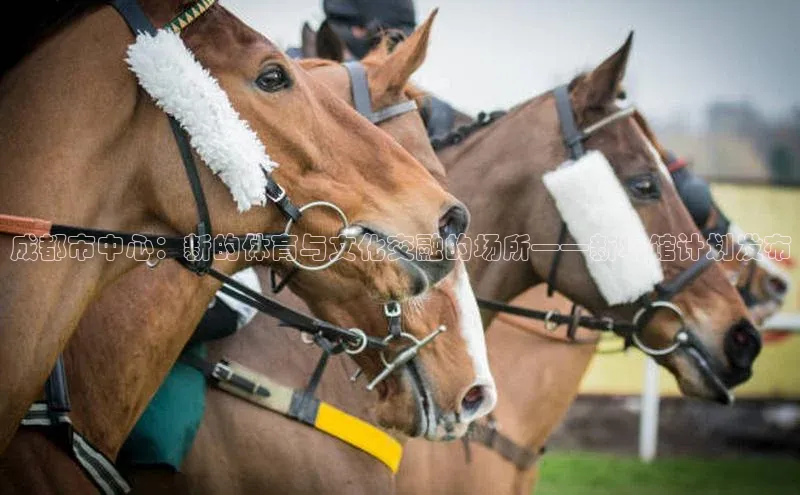 星空综合官网天下秀成都市中心：新的体育与文化交融的场所——新场馆计划发布