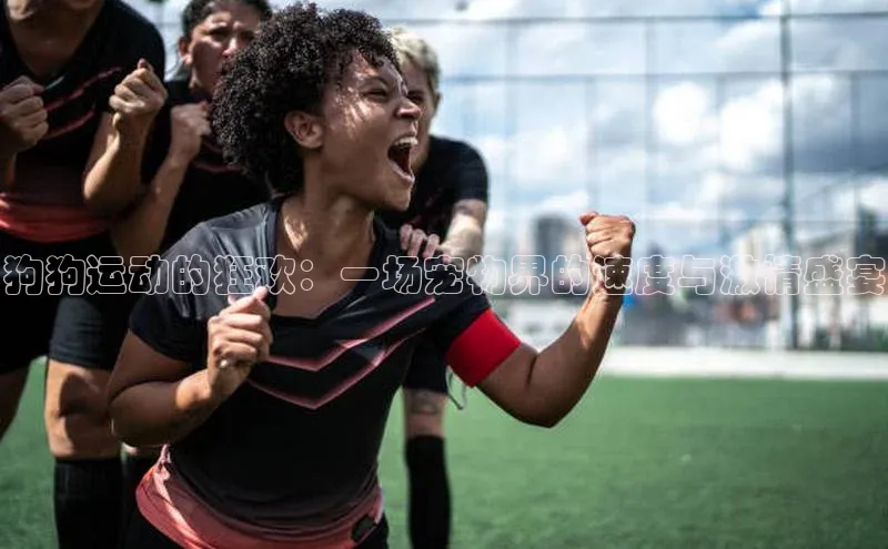 狗狗运动的狂欢：一场宠物界的速度与激情盛宴