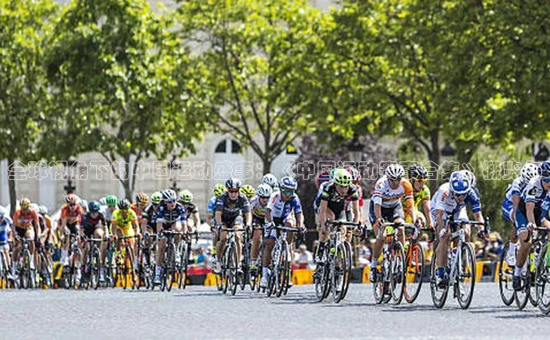 全球视角下的中国运动盛事：《中国运动赛事合集》概览与