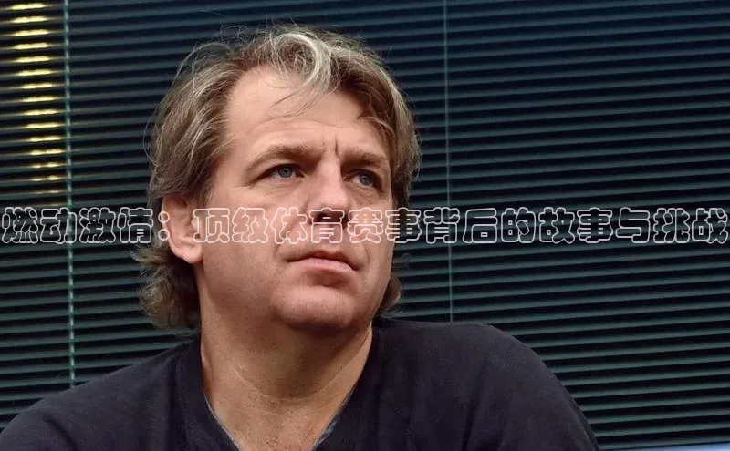 燃动激情：顶级体育赛事背后的故事与挑战