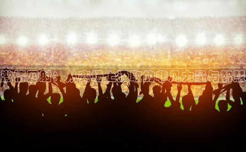 激情四射：从赛场上汲取的非凡力量与智慧