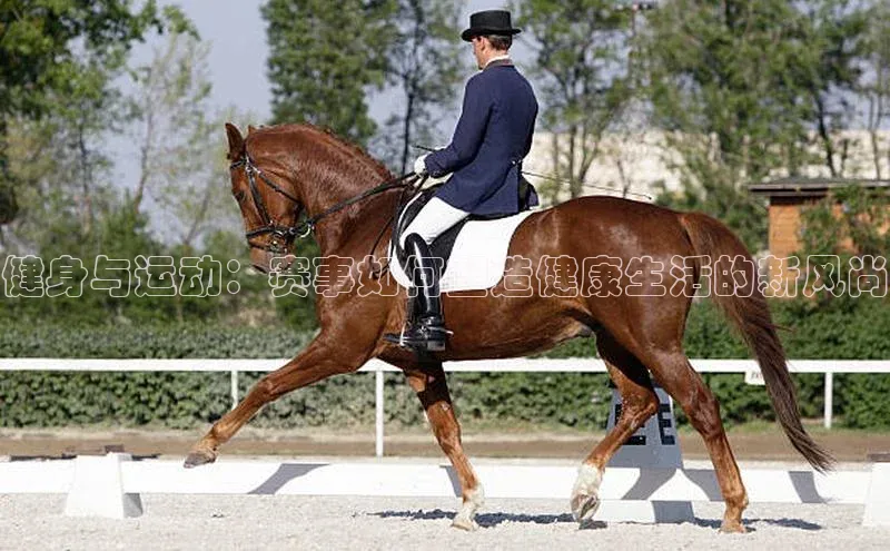 健身与运动：赛事如何塑造健康生活的新风尚