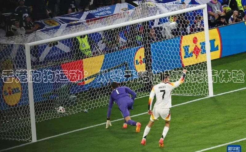 香港跑狗运动：从零开始的趣味竞猜体验