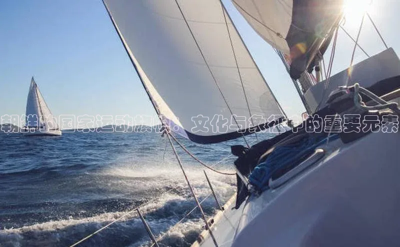 朝鲜的国家运动旗帜：文化与象征中的重要元素