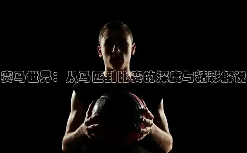 赛马世界：从马匹到比赛的深度与精彩解说