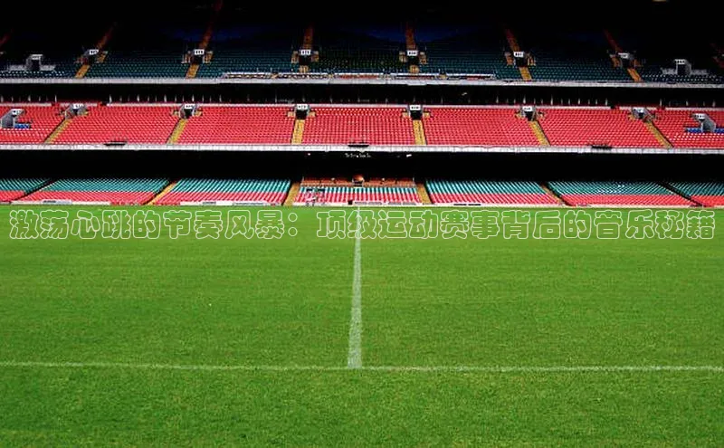 星空体育入口app