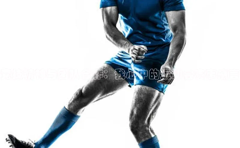 星空综合(中国)官方网站