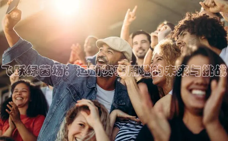 飞跃绿茵场：运动赛事用地的未来与挑战