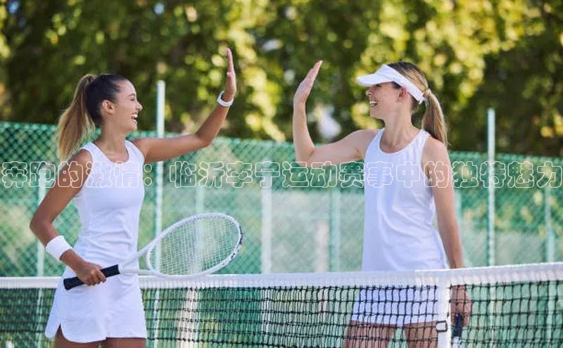 奔跑的激情：临沂李宁运动赛事中的独特魅力