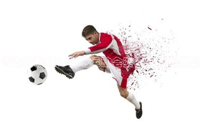 青春的旋律：初中运动会赛事回顾与展望