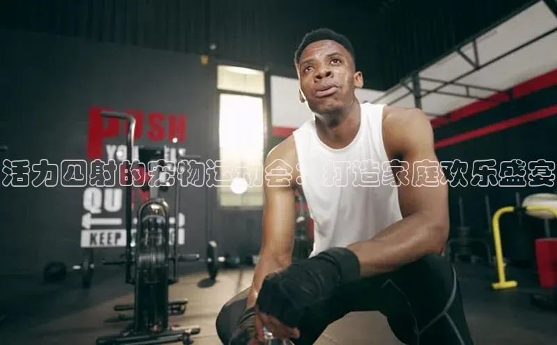 活力四射的宠物运动会：打造家庭欢乐盛宴