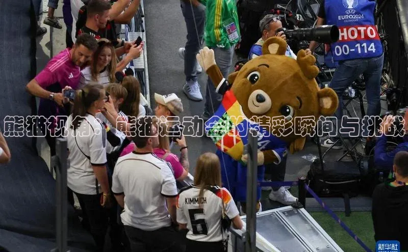 熊猫视角：熊猫运动会的精彩瞬间与挑战