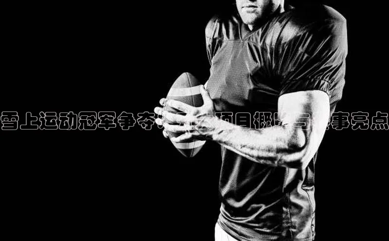 星空网页版在线登录入口