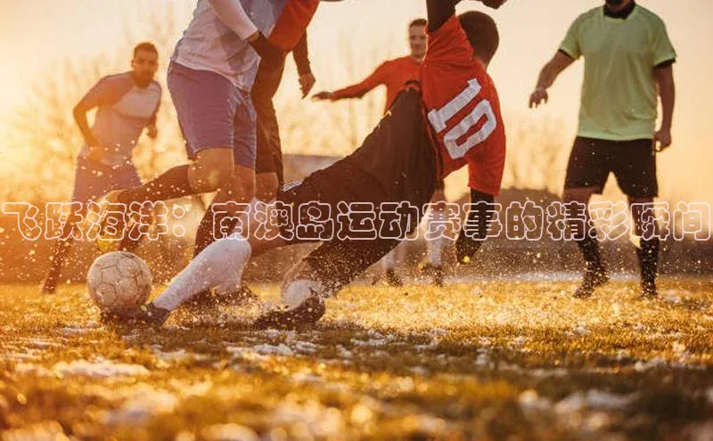 星空综合(中国)官方网站官网