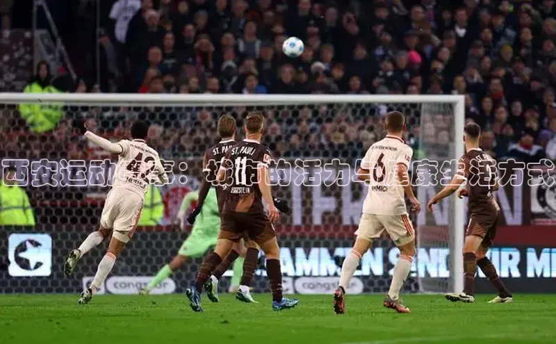 星空体育官网在线