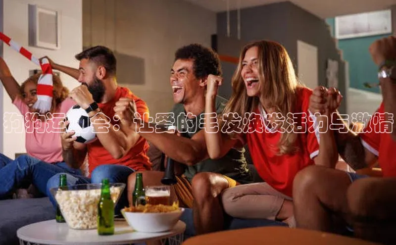 狗狗运动会：让爱的毛发焕发活力与激情