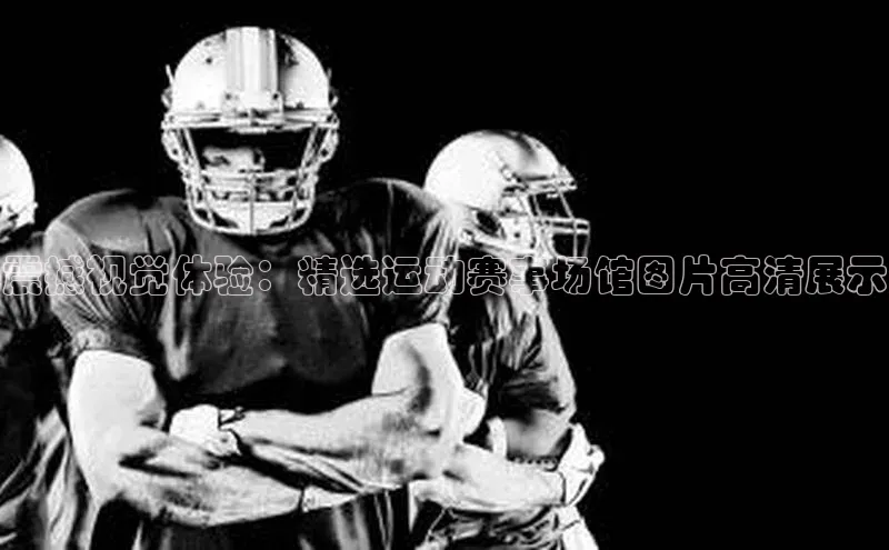 星空体育平台官网入口