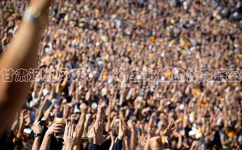 甘肃运动风采：一场全方位的体育盛宴