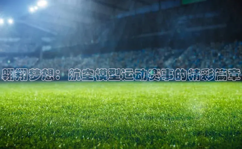 翱翔梦想：航空模型运动赛事的精彩篇章